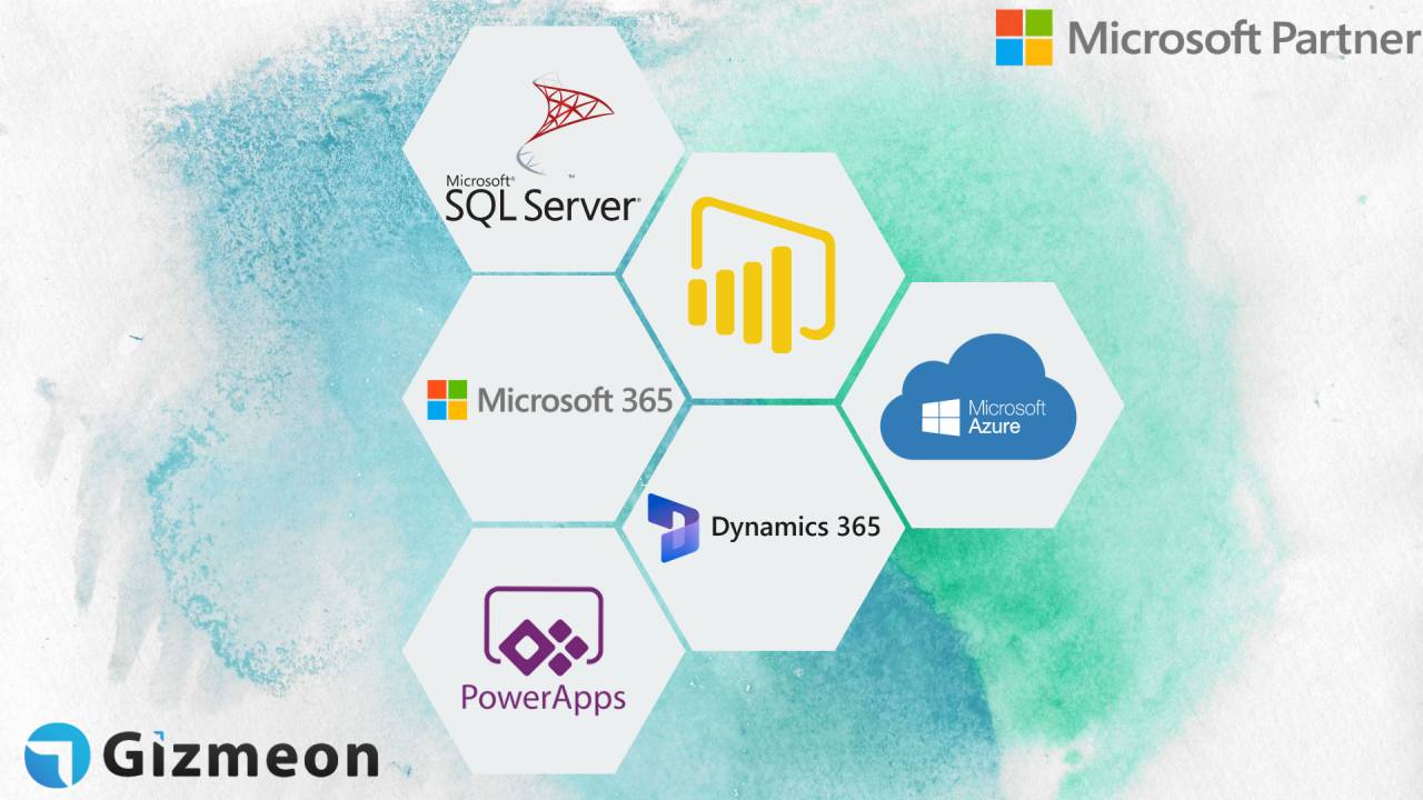 Microsoft Services from Gizmeon