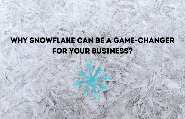 Why Snowflake can be a game-changer for your business?